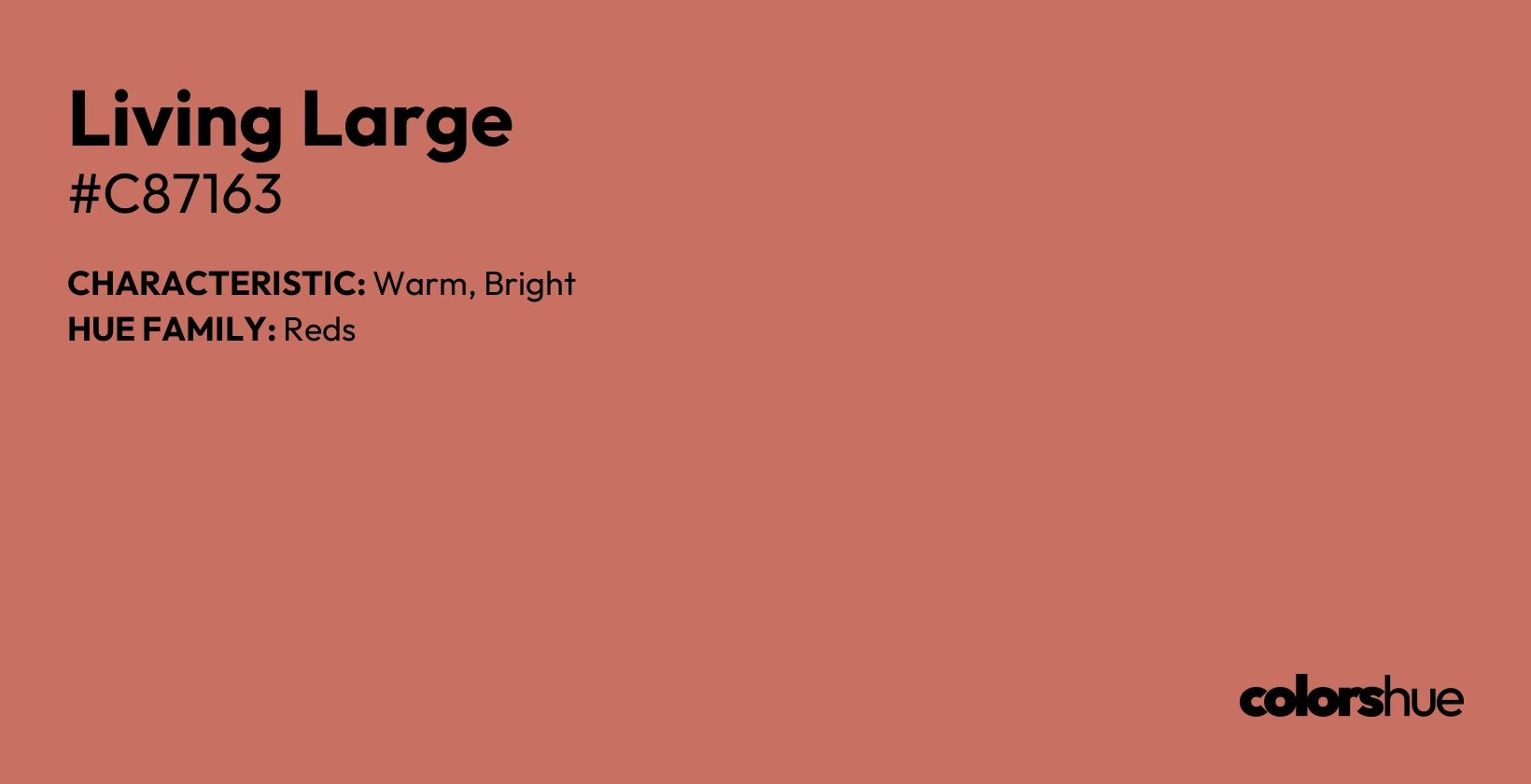 Living Large color, hex code #c87163