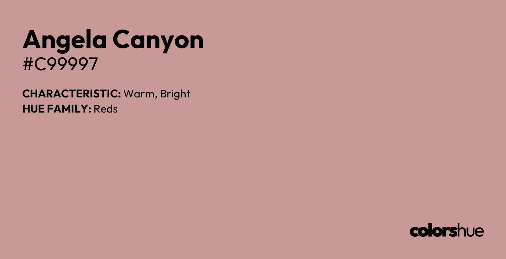 Angela Canyon color, hex code #c99997