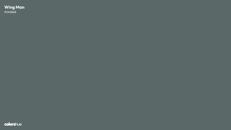 Wing Man color wallpaper preview