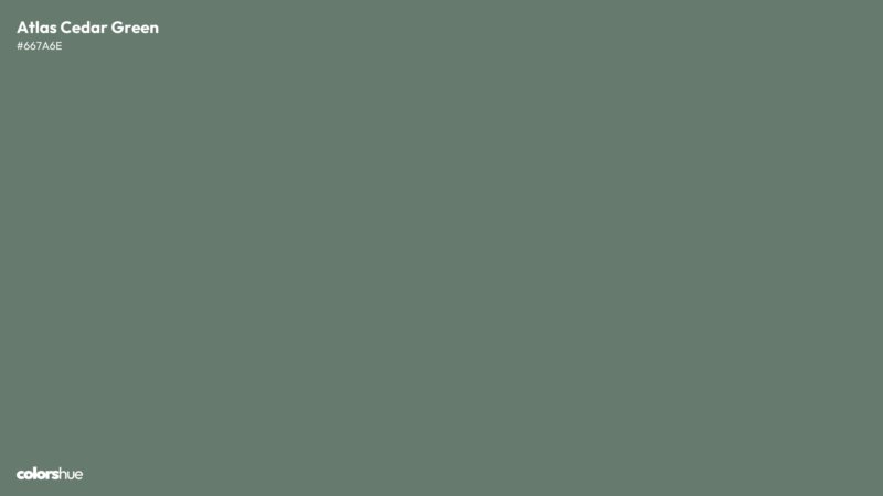 Atlas Cedar Green color wallpaper preview