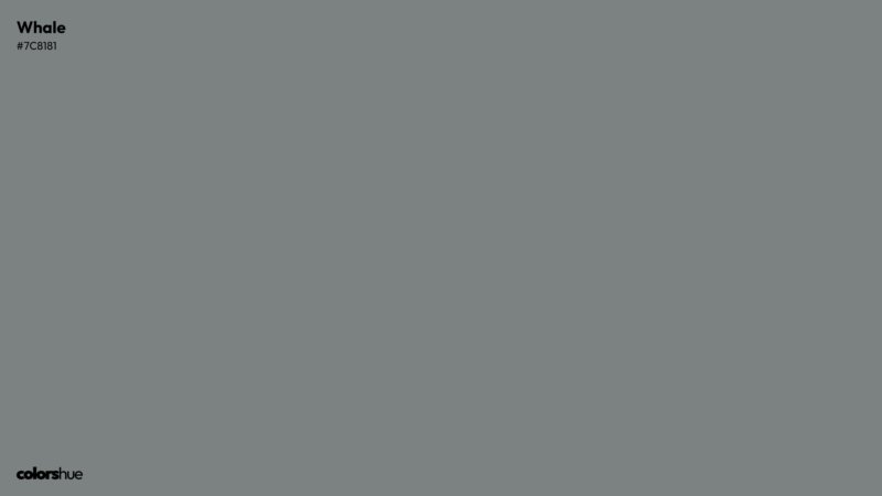 Whale color wallpaper preview