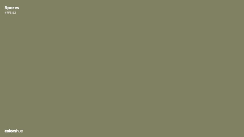 Spores color wallpaper preview