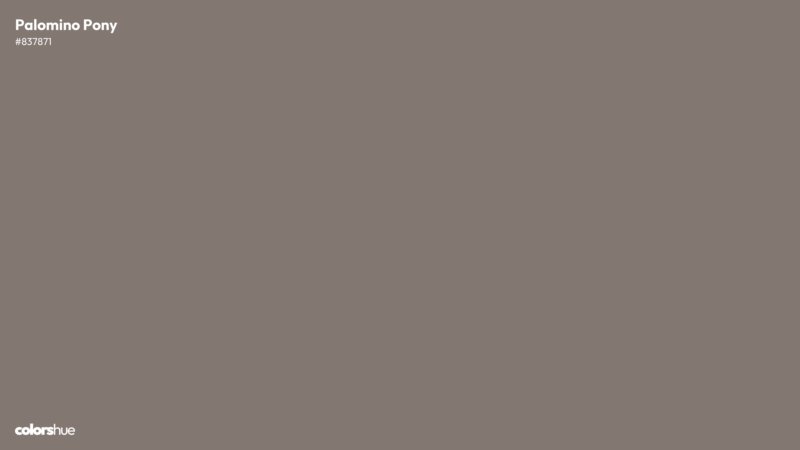Palomino Pony color wallpaper preview