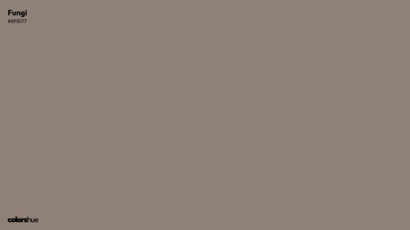 Fungi color wallpaper preview