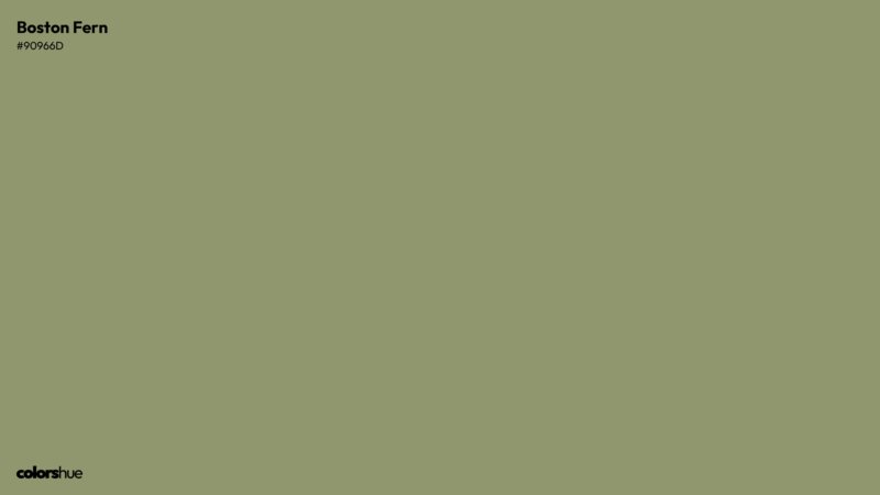 Boston Fern color wallpaper preview