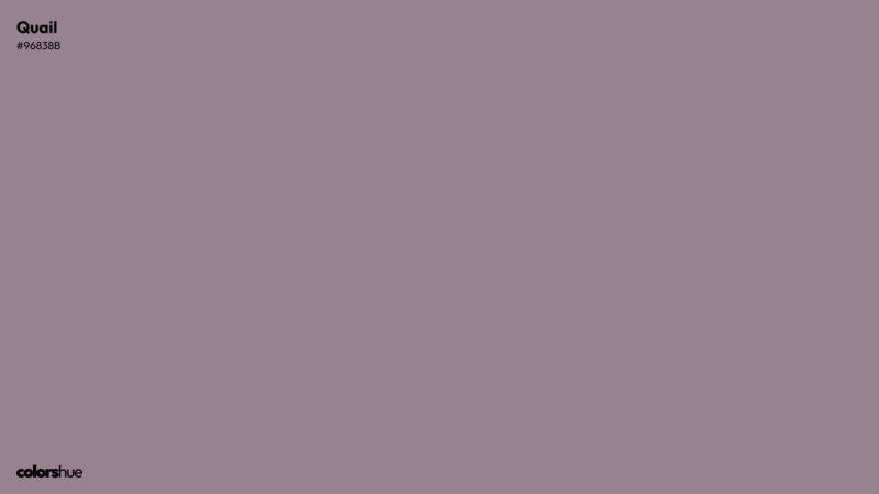 Quail color wallpaper preview