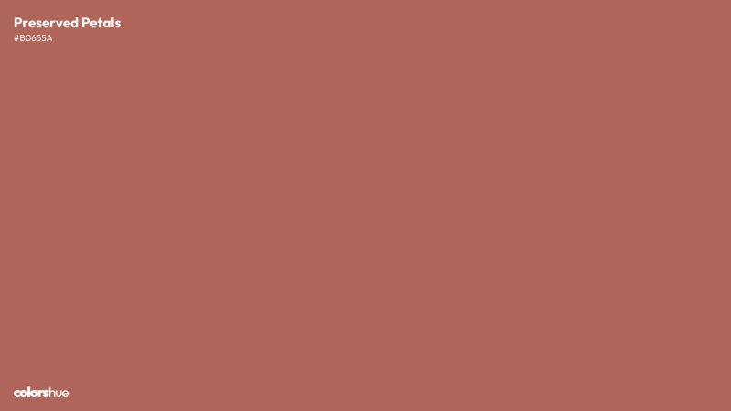 Preserved Petals color wallpaper preview