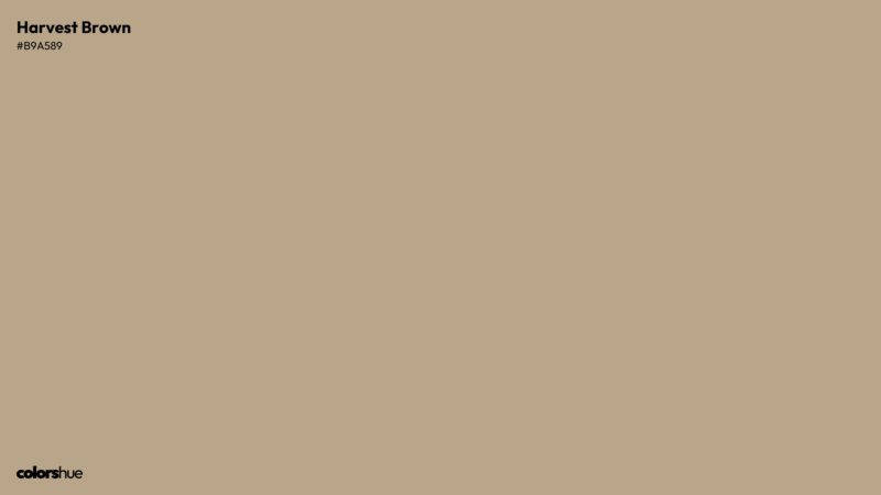 Harvest Brown color wallpaper preview