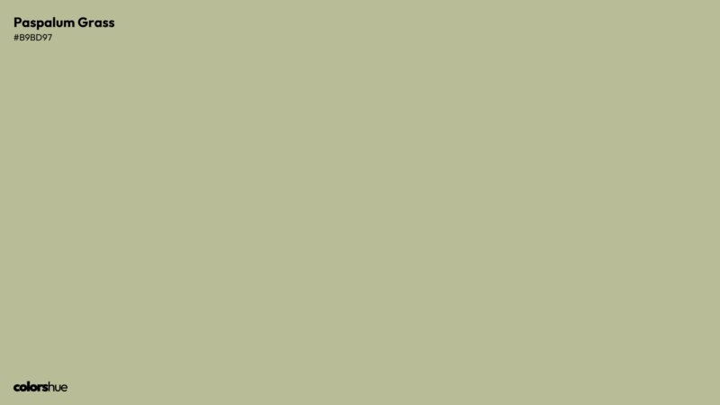Paspalum Grass color wallpaper preview