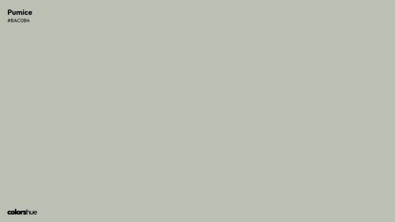 Pumice color wallpaper preview