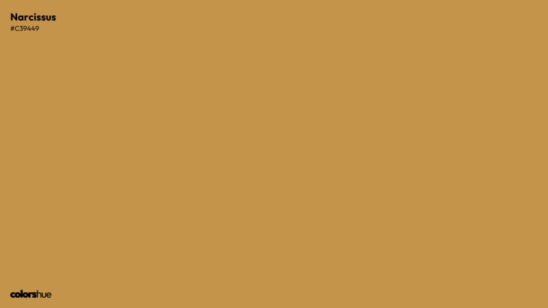 Narcissus color wallpaper preview