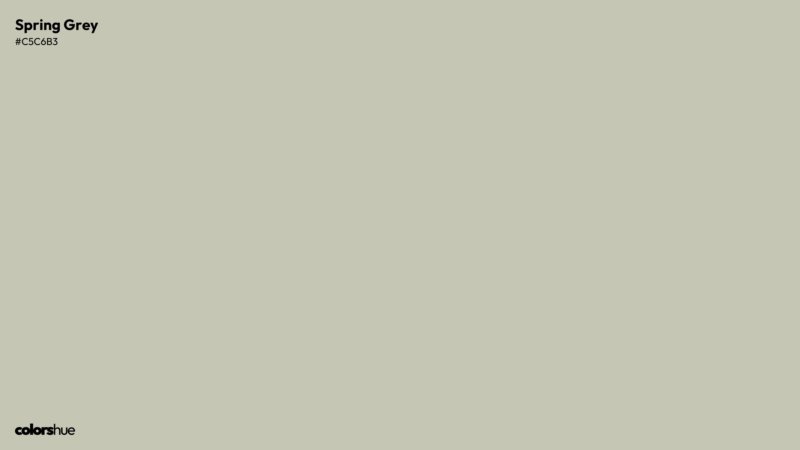 Spring Grey color wallpaper preview