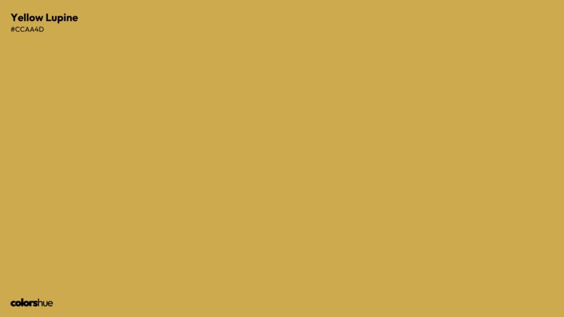 Yellow Lupine color wallpaper preview