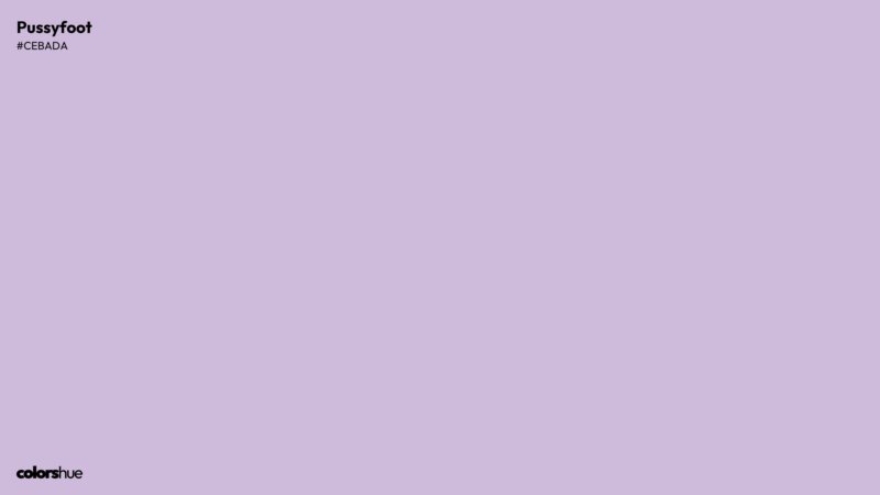 Pussyfoot color wallpaper preview