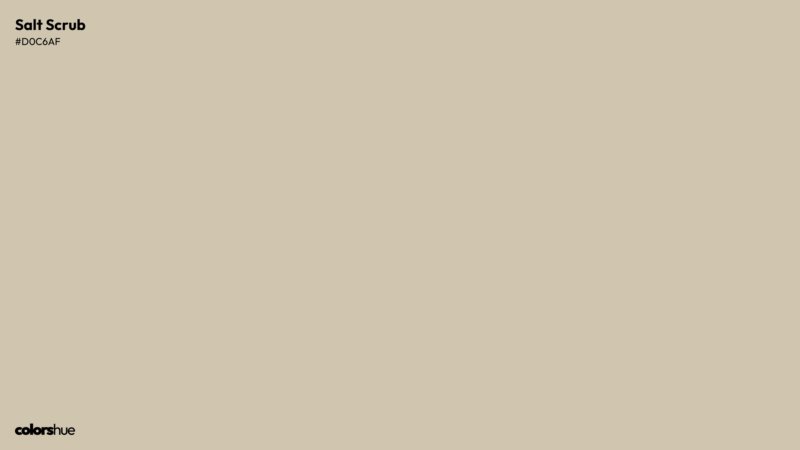 Salt Scrub color wallpaper preview