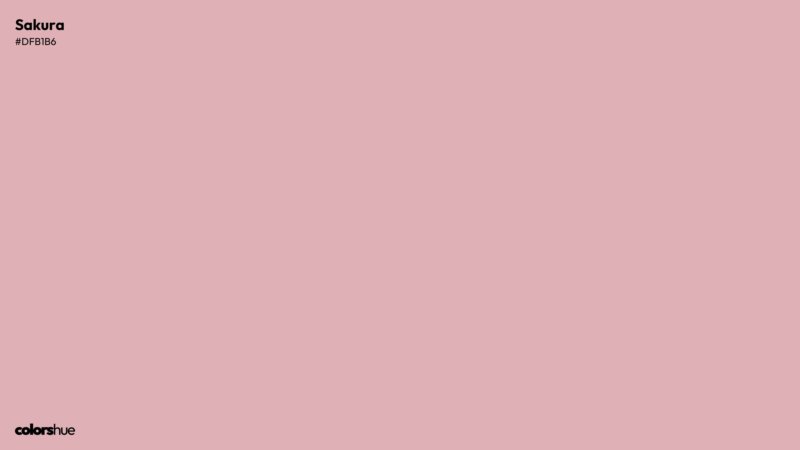 Sakura color wallpaper preview