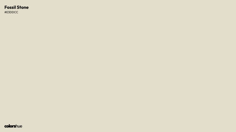 Fossil Stone color wallpaper preview