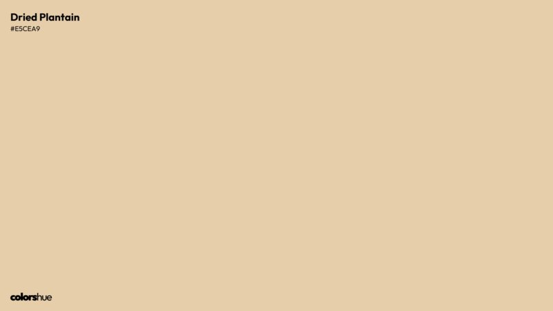Dried Plantain color wallpaper preview