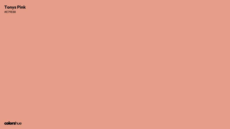 Tonys Pink color wallpaper preview