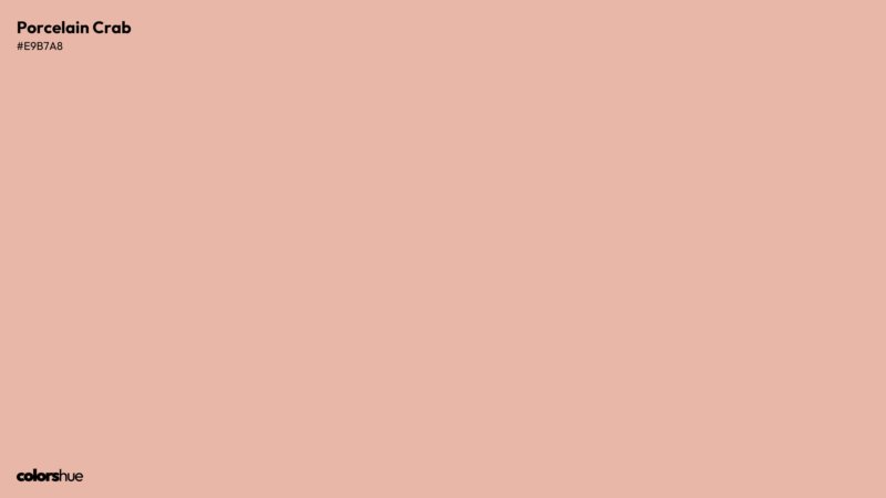 Porcelain Crab color wallpaper preview