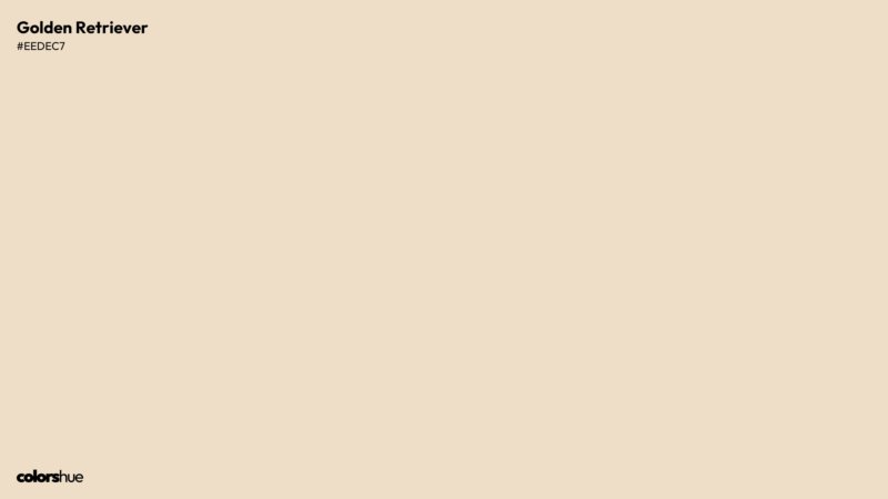 Golden Retriever color wallpaper preview