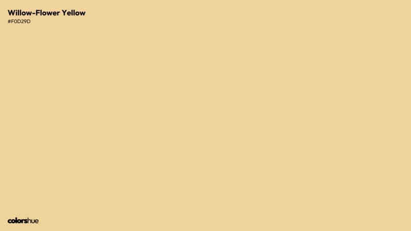 Willow-Flower Yellow color wallpaper preview