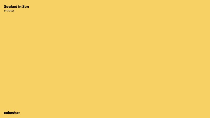 Soaked in Sun color wallpaper preview