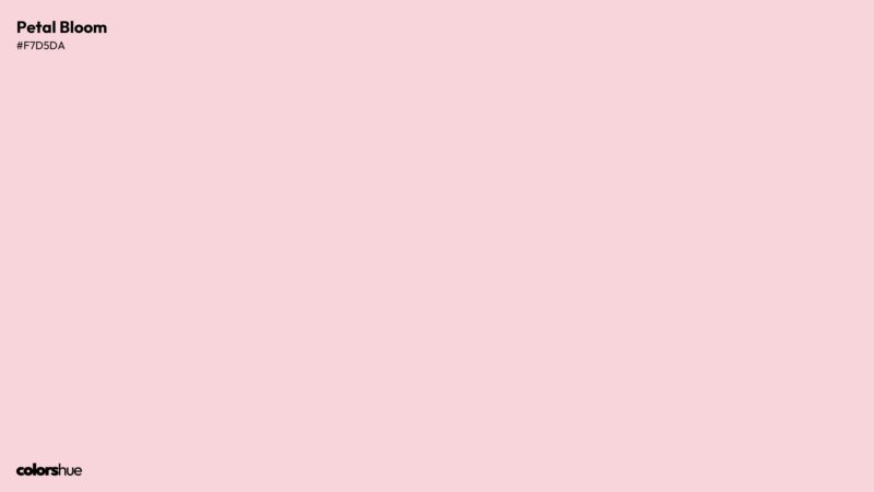Petal Bloom color wallpaper preview