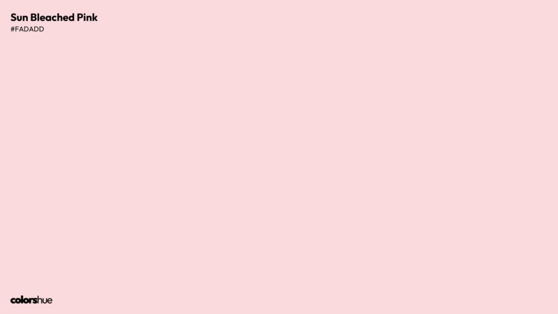 Sun Bleached Pink color wallpaper preview