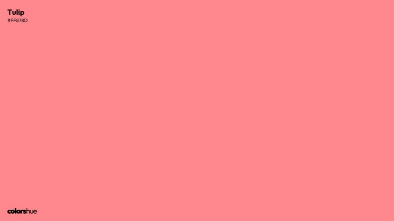 Tulip color wallpaper preview