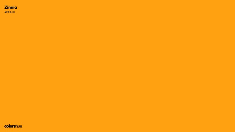 Zinnia color wallpaper preview