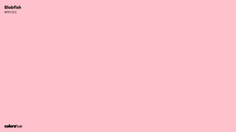 Blobfish color wallpaper preview