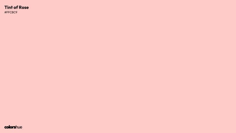 Tint of Rose color wallpaper preview